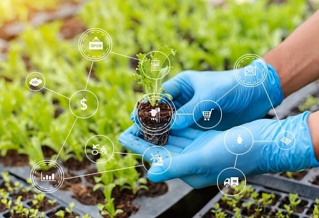 Research Crucial for Country's Growth, Says HEC Chairman